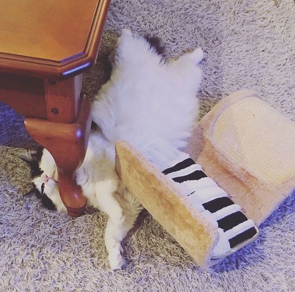 響介さんの公式Instagramより