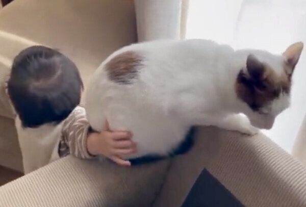 つくねくんとお子さん、お互いが初めて触れ合う瞬間