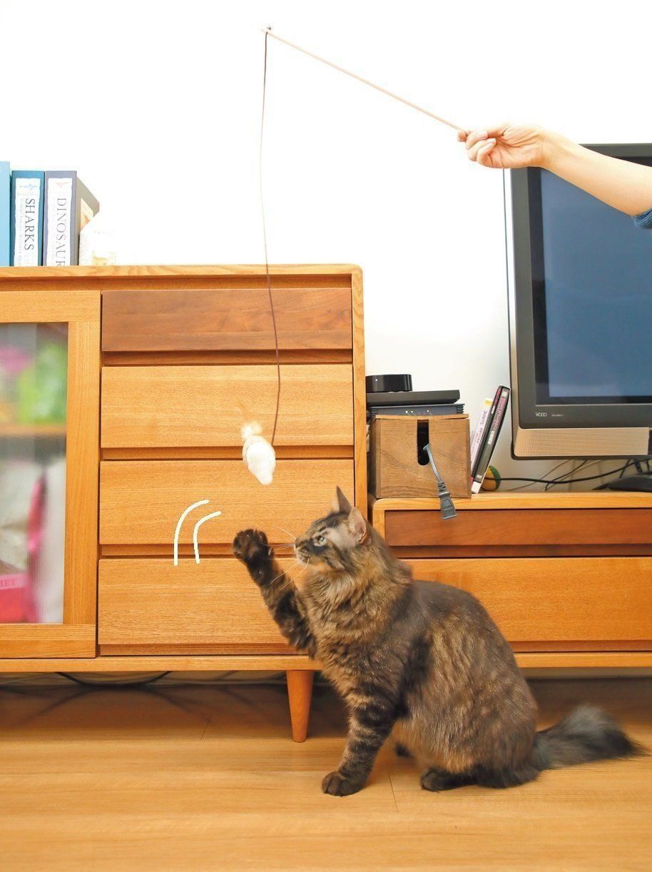 撮影／尾﨑たまき