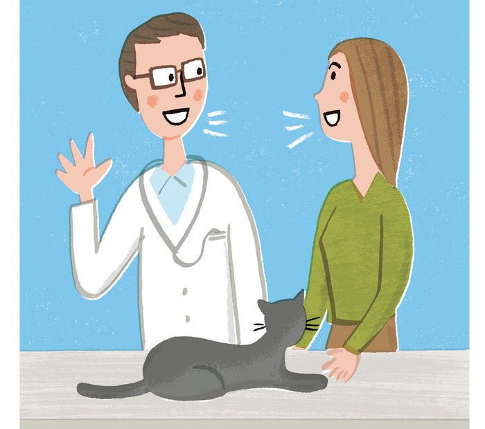 先輩飼い主さんが教える「猫が若いうちにやっておくべき３つのこと」