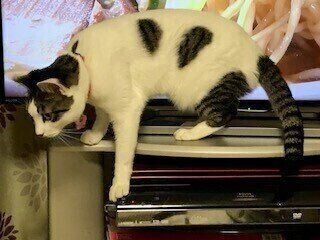 写真提供／読者