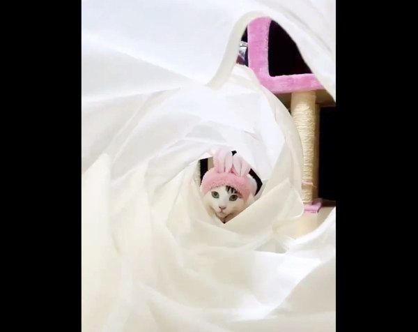 トンネルを駆け抜けるみんとちゃん