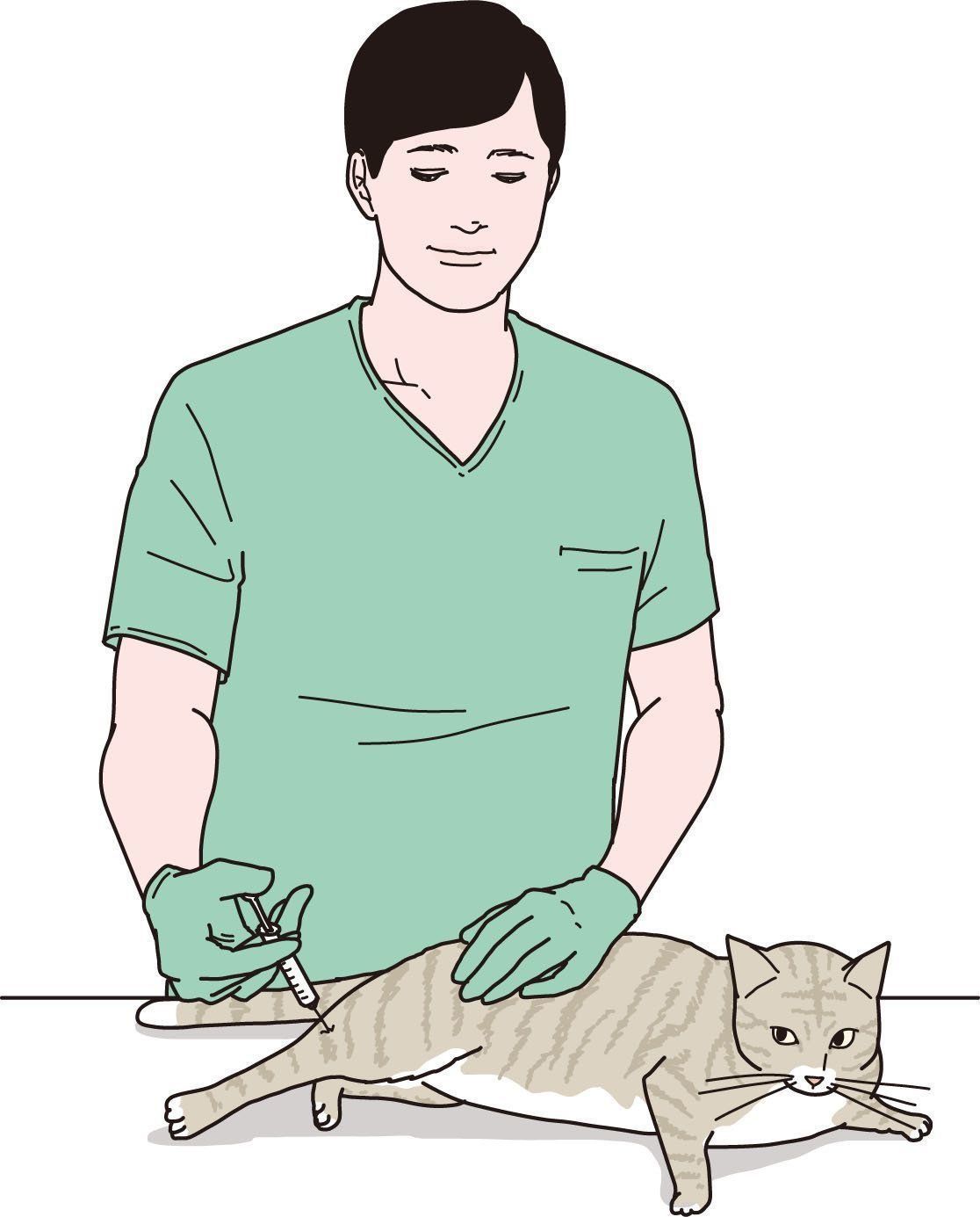 イラスト／二階堂ちはる