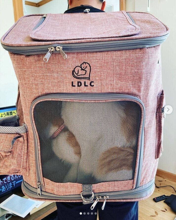 ライトくんたち