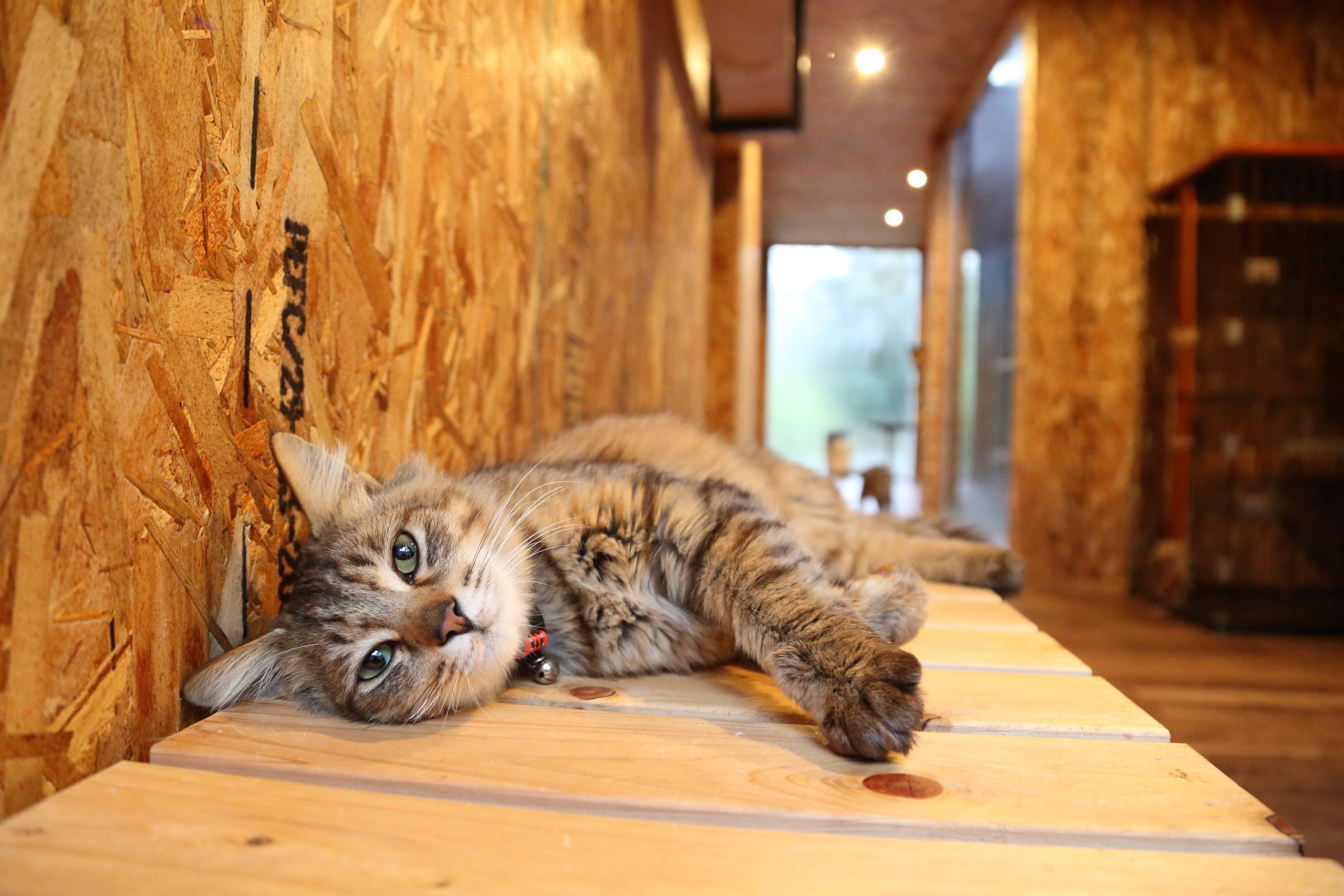 撮影／尾﨑たまき