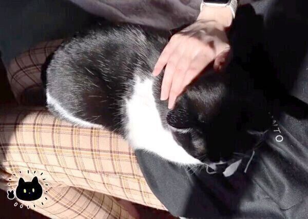 甘えるまめさん