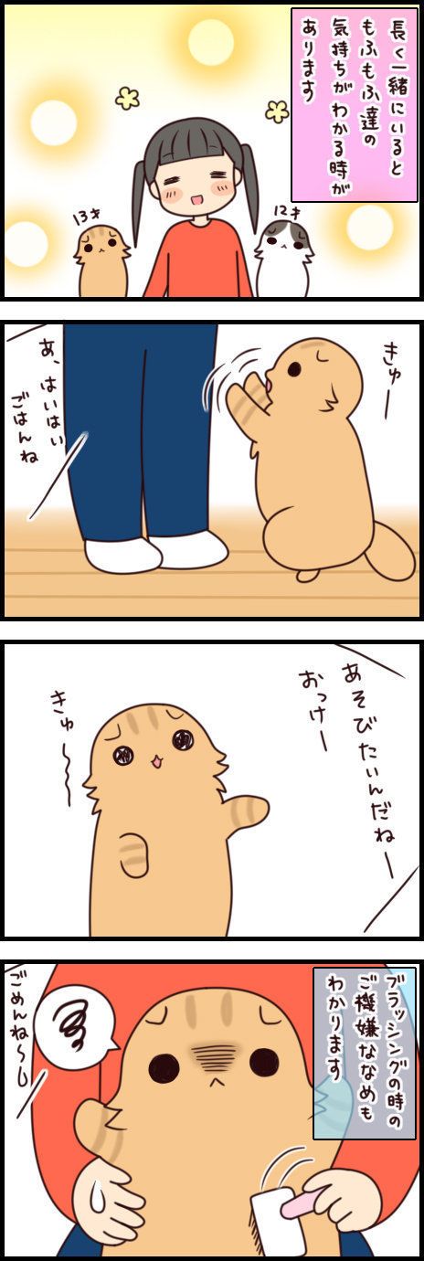 「もふもふスコたん」vol.41