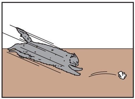 「男の猫道」サムネイル