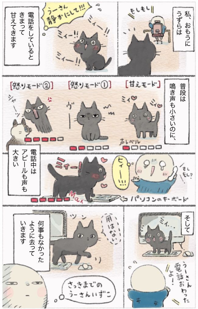 ねこ連れ草21話め
