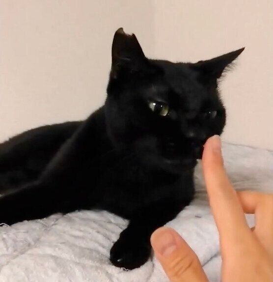 指のニオイを嗅ぐ秋月くん