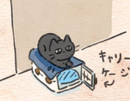 359話めサムネイル