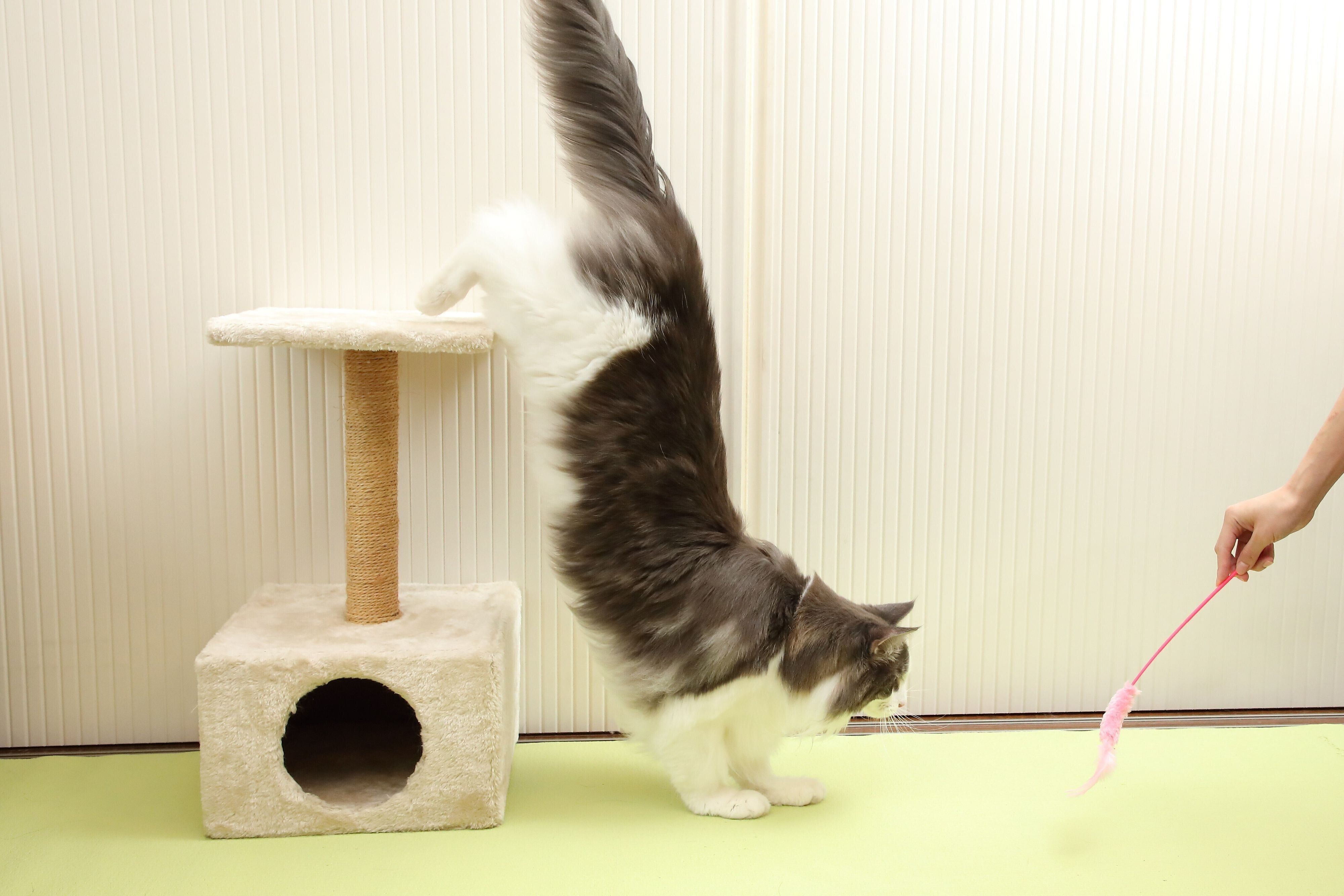 撮影／尾﨑たまき