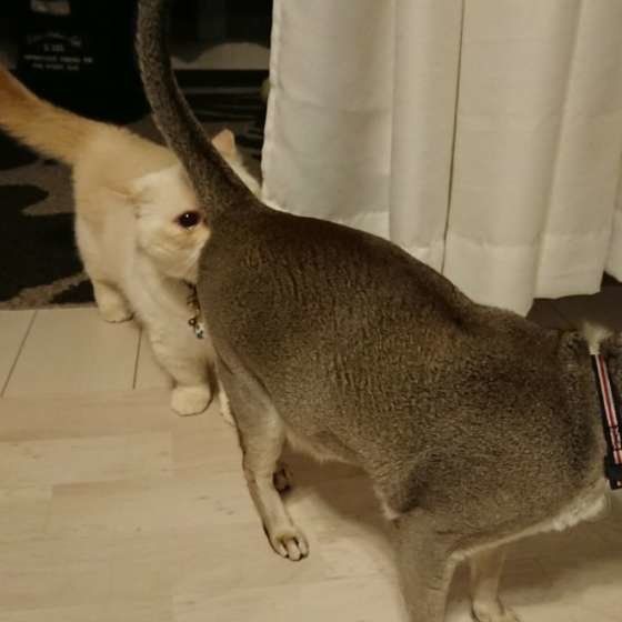 健康チェック中