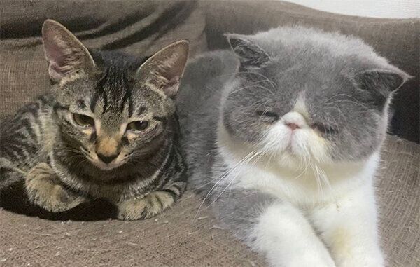 ちびくんと小雪ちゃん