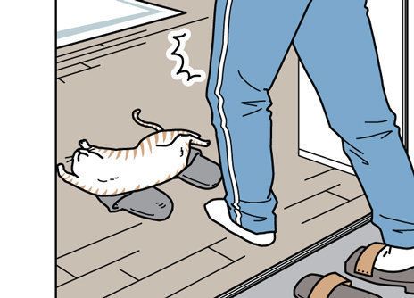 「男の猫道」サムネイル