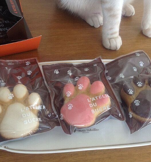 猫マドレーヌ　三色　猫足