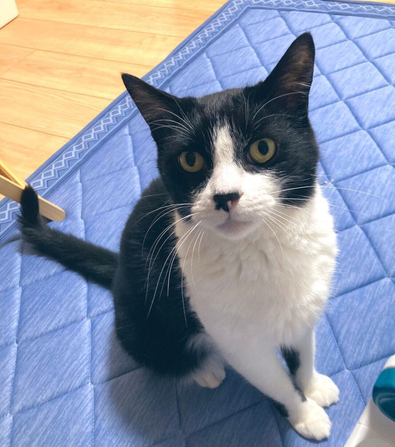 健やかに成長した義勇くん。