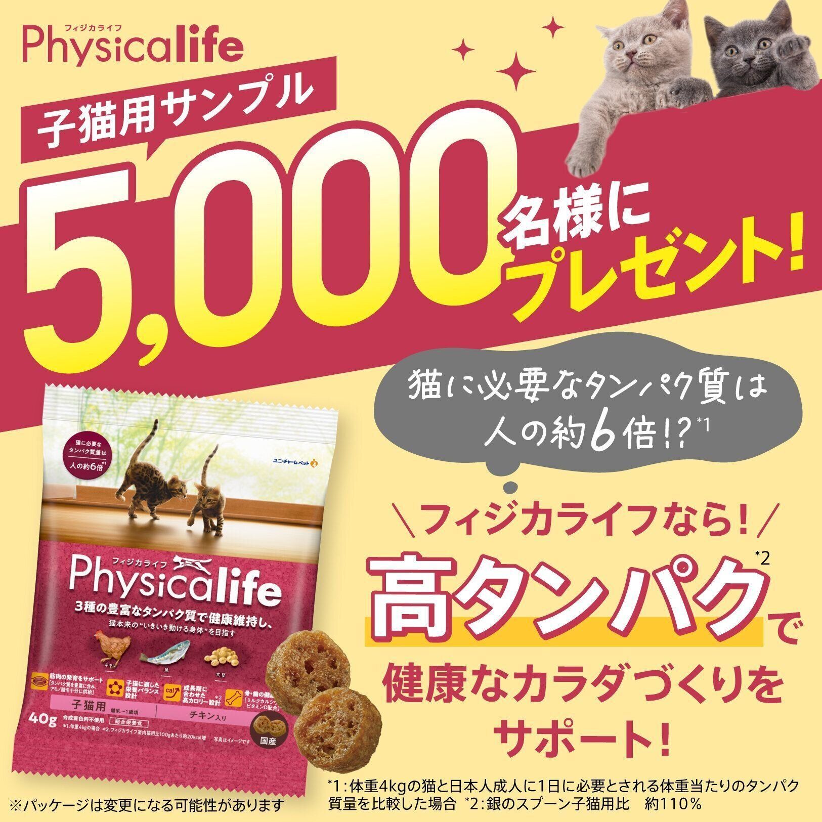 キャンペーンに応募する