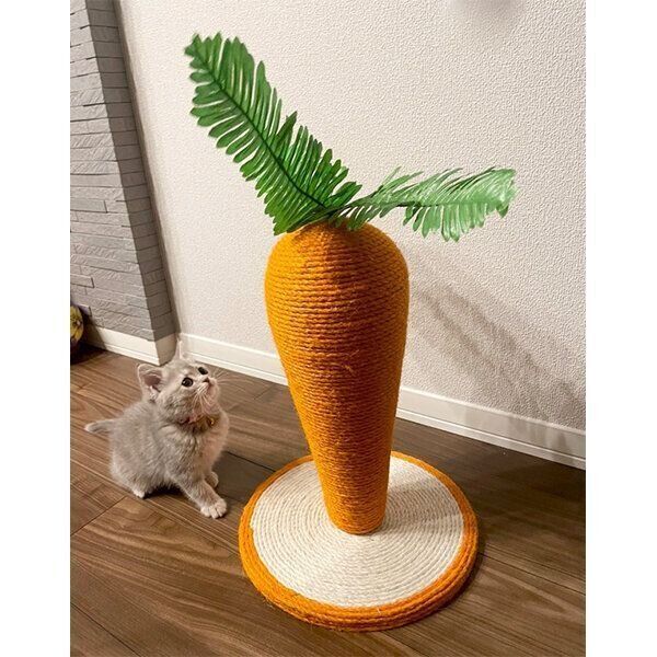 「にんじん」を見上げるおんぷちゃん