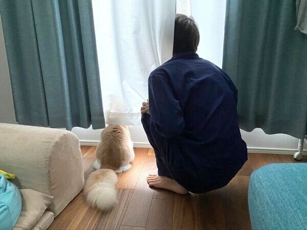 仲良く外を見るテオくんとご主人