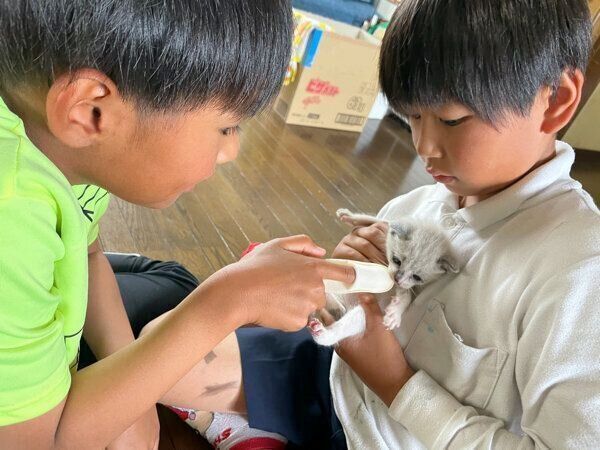 ロコくんのお世話をする息子さんたち