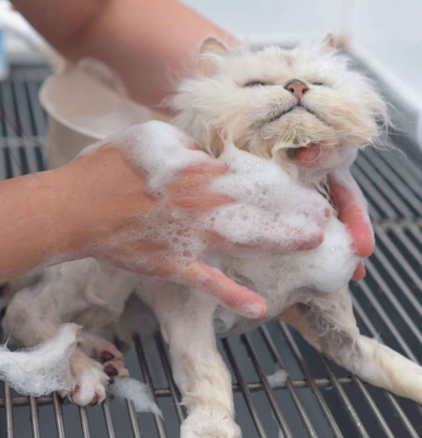 撮影／石原さくら