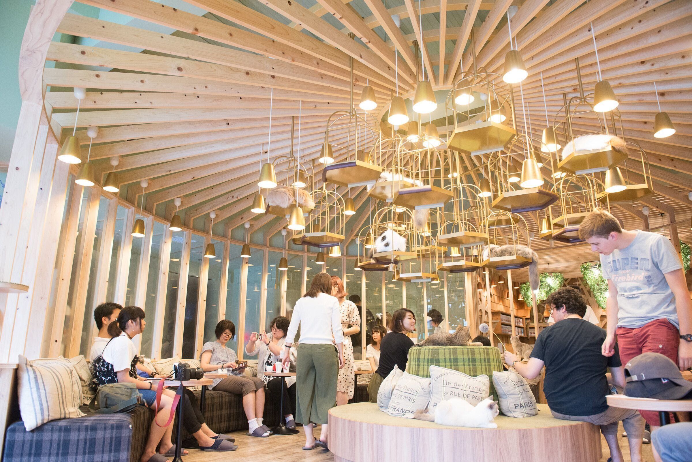 温かみのあるウッディーでおしゃれな内装