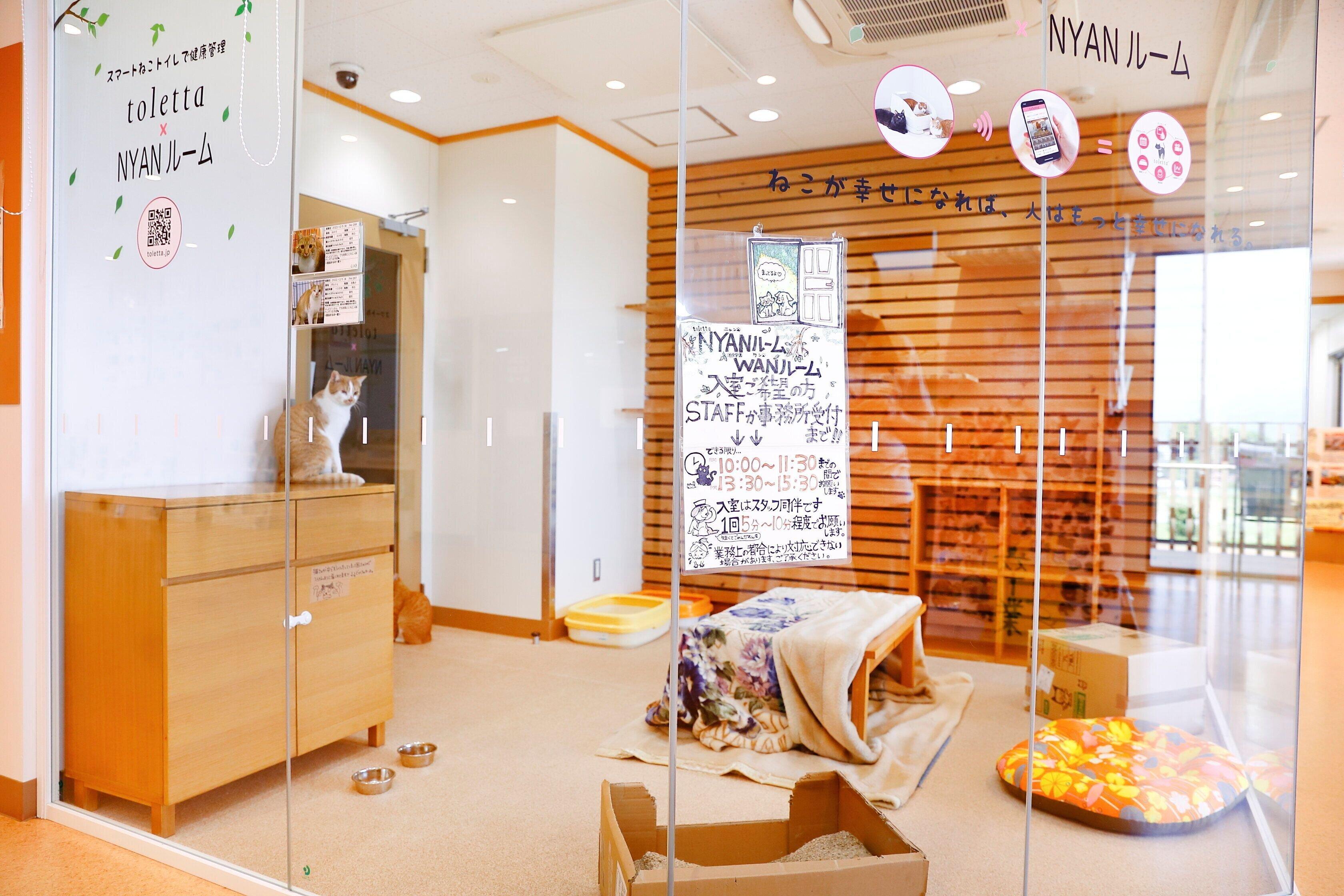 撮影／後藤さくら