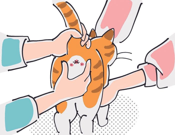 イラスト/はなさきロージー