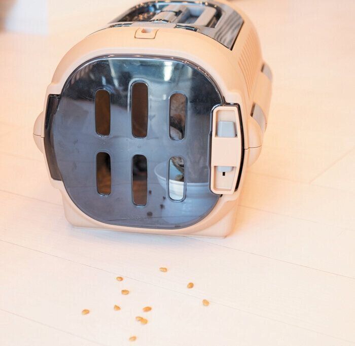 キャリーケースの扉を閉めた状態