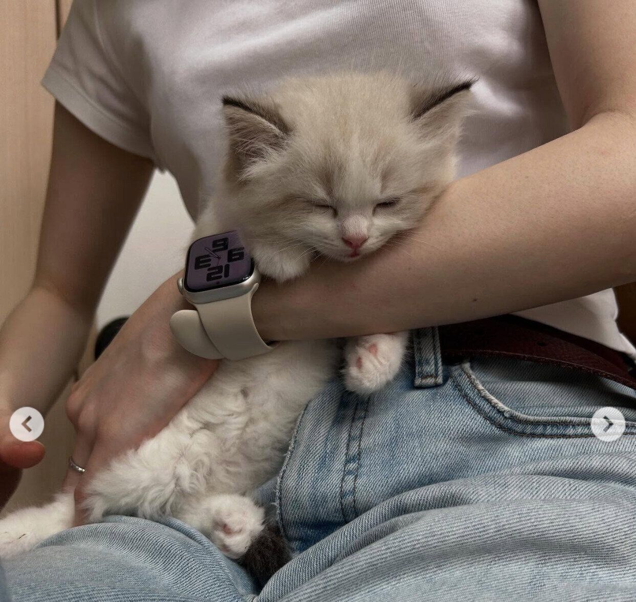 イヴちゃんと初対面したときの一枚