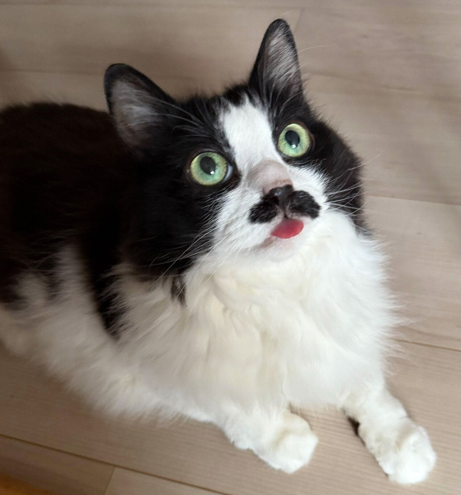 お茶目な表情をするむぎちゃん