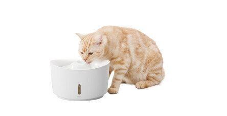 ピュアクリスタル