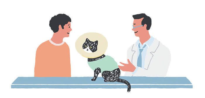 イラスト／柿崎サラ