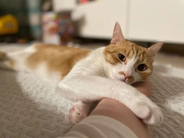 甘えるポットくん