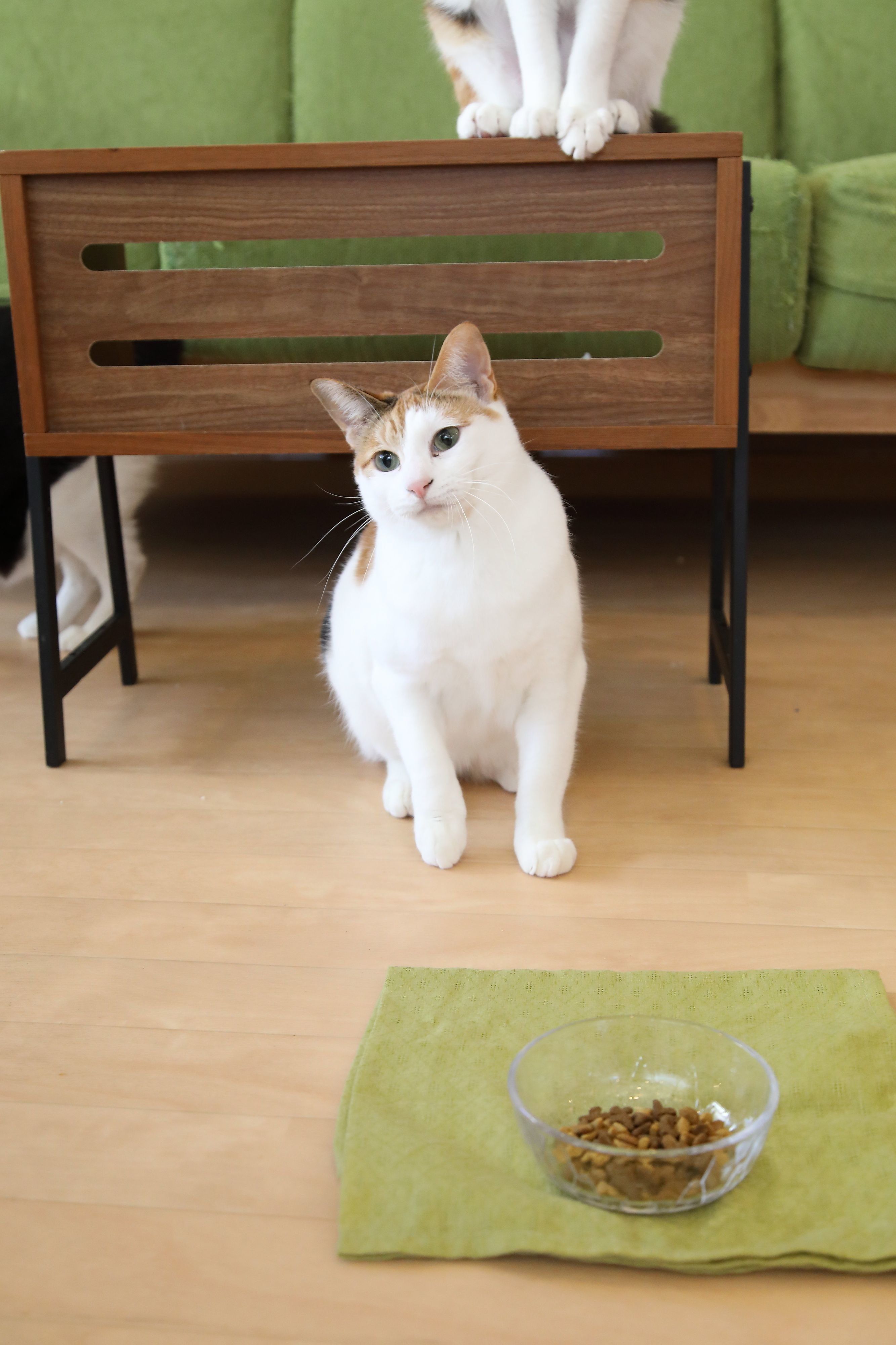 撮影／尾﨑たまき