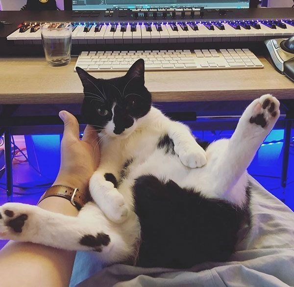 響介さんの公式Instagramより