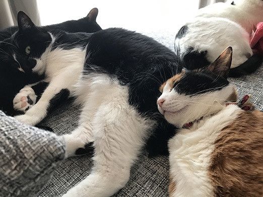 夢みるソラのとんでもない行動