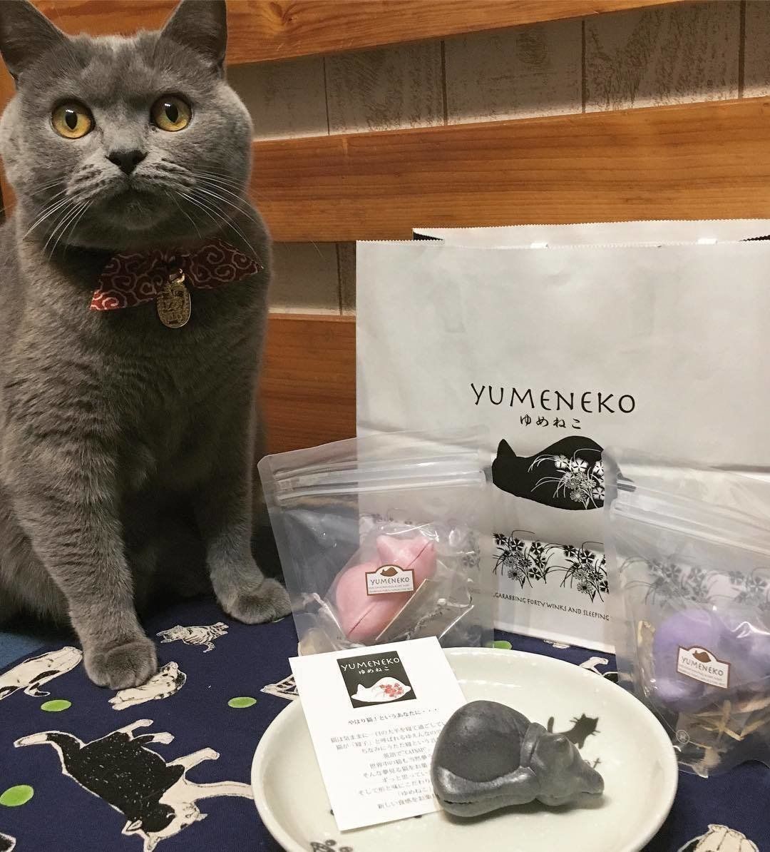 ゆめねこ