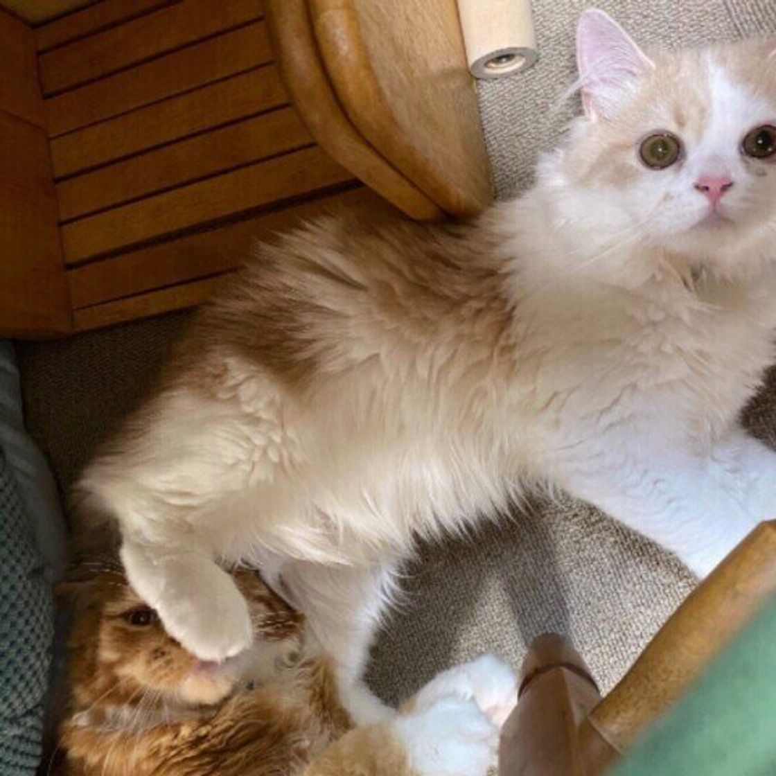 Shkzhv 0xaes7m Shkzhv 0xaes7m