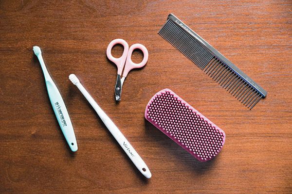 お手入れグッズ