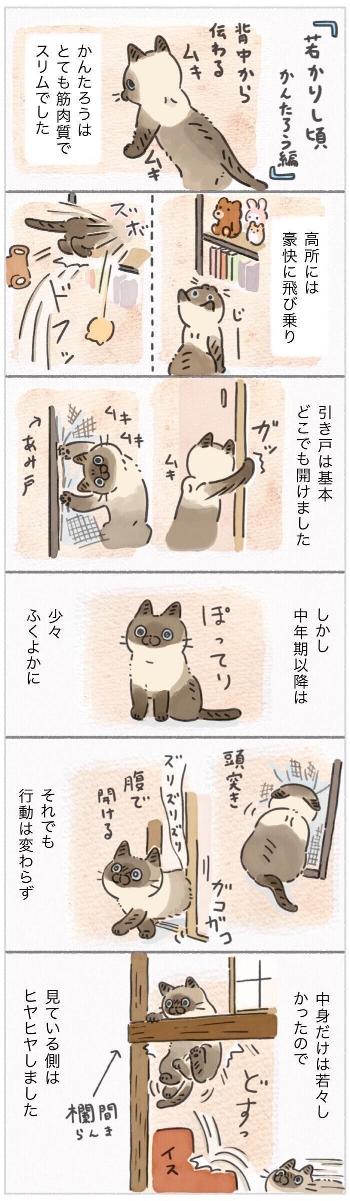 「ねこ連れ草」344話め