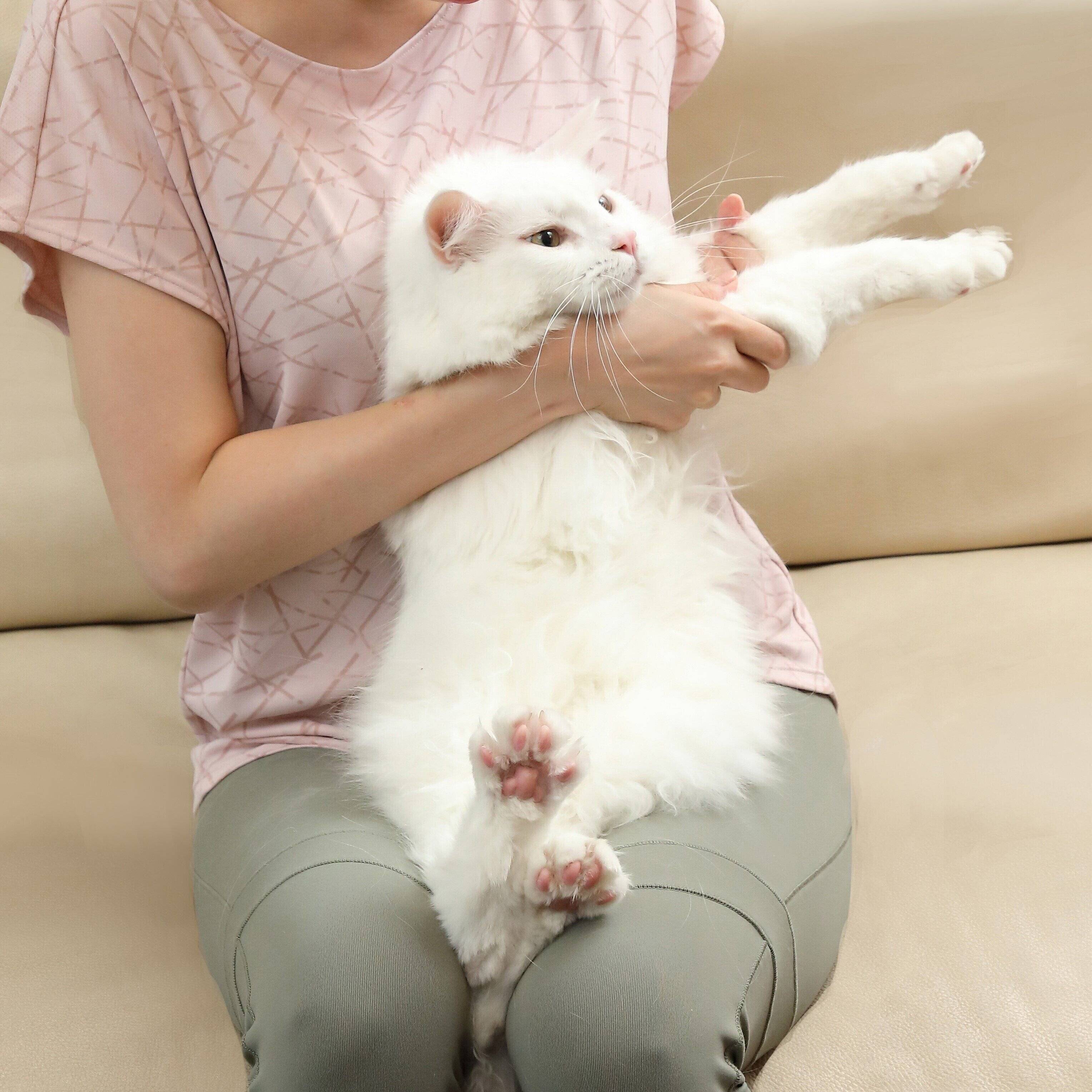 撮影／尾﨑たまき