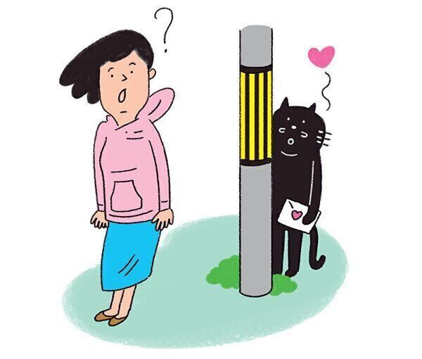 電柱の後ろにいる猫