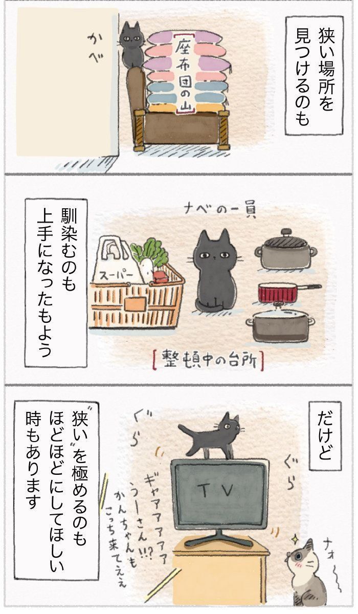 「ねこ連れ草」58話め