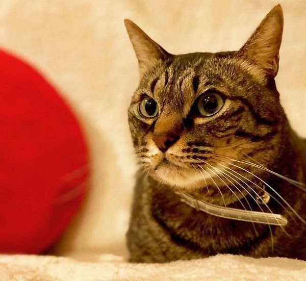 響介さんの公式Instagramより