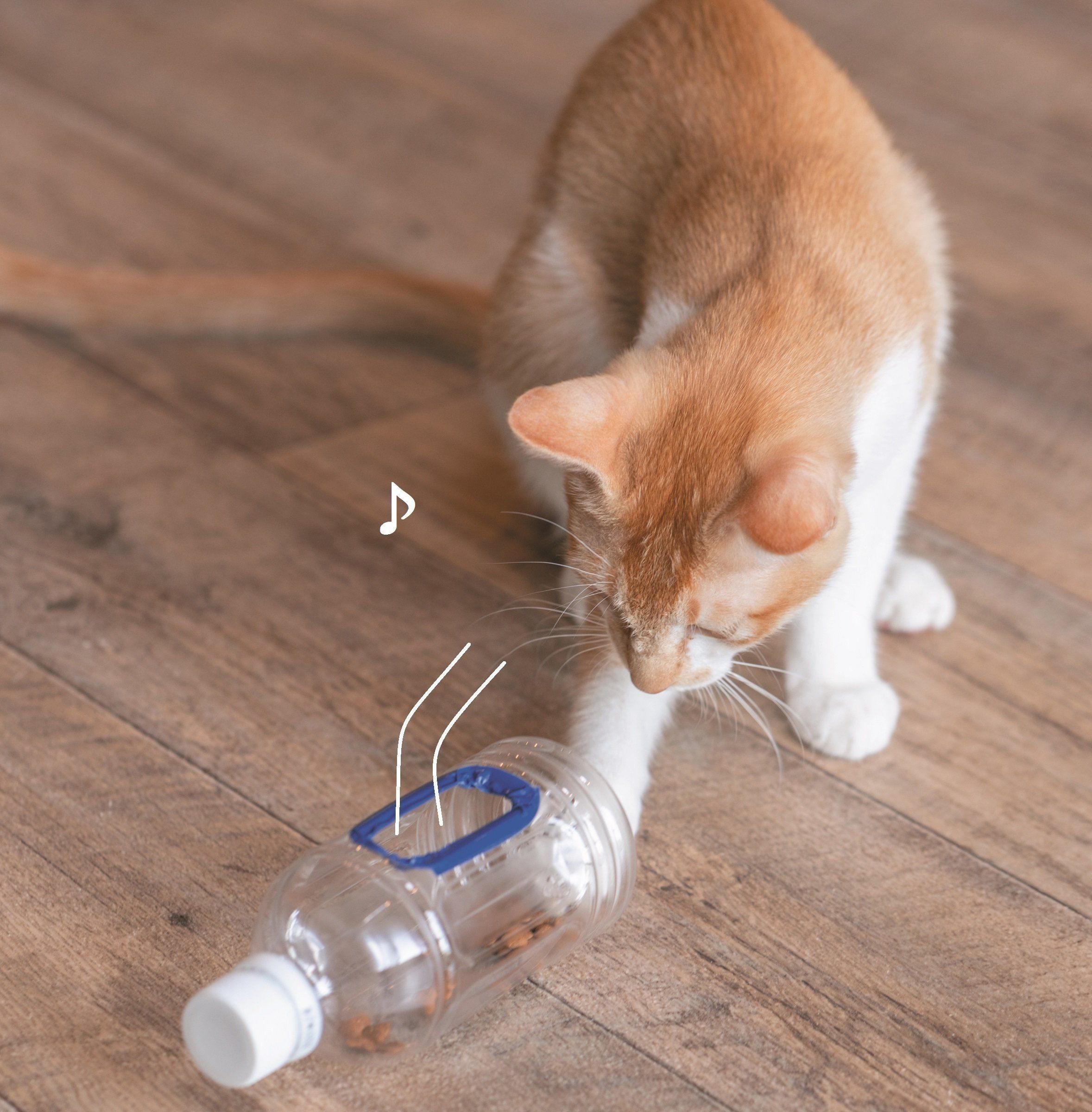 撮影／石原さくら