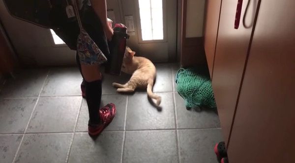 お兄ちゃんと猫