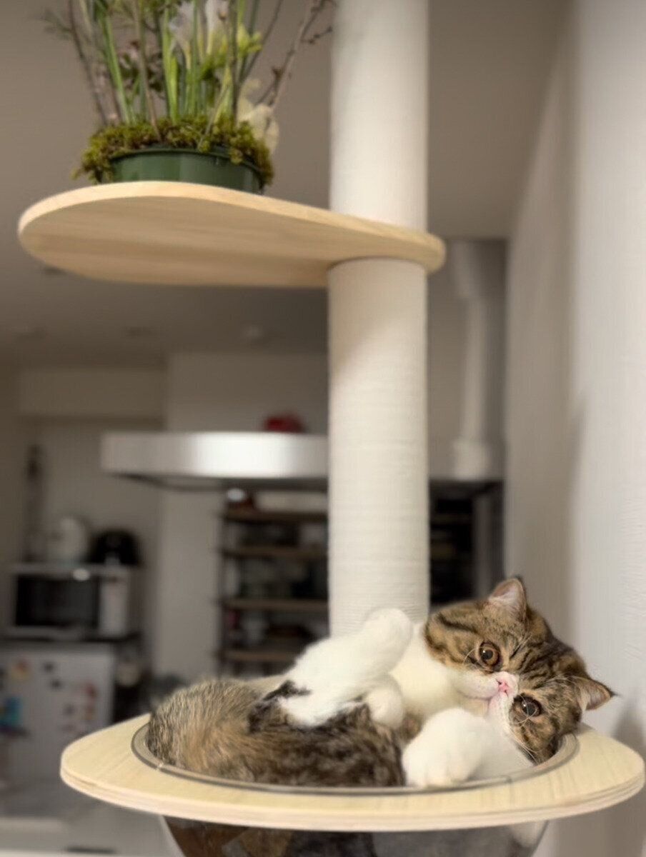 宇宙船でくつろぐうにゃくん