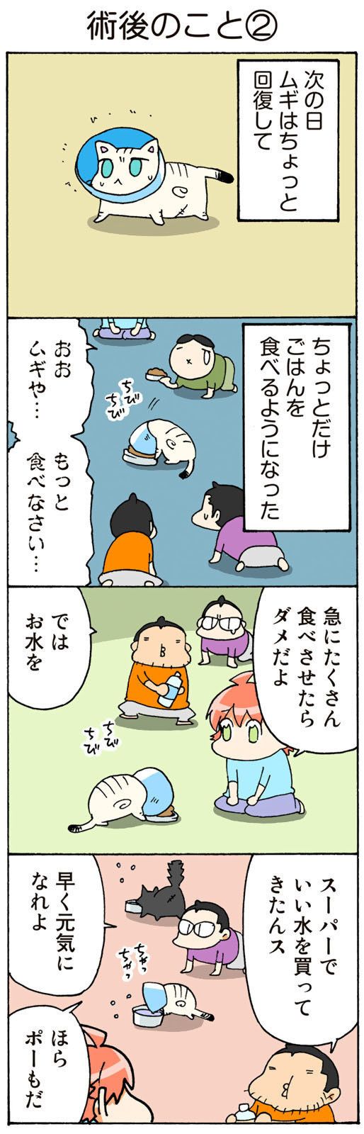 ©片倉真二/講談社